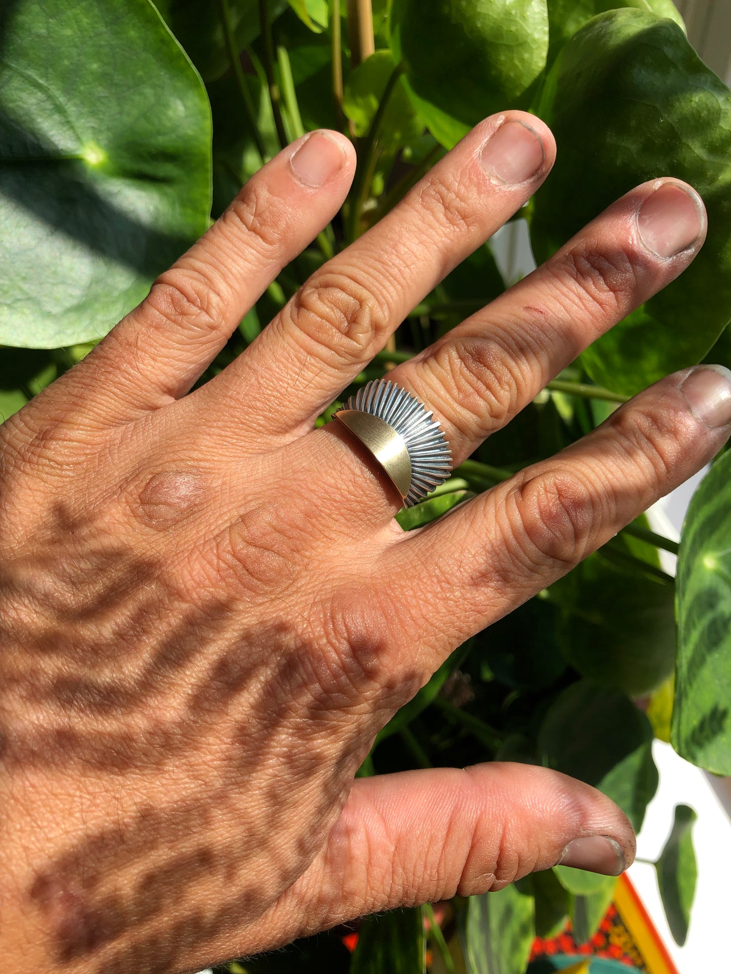 HTL Signature Ring