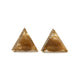 Astra Earrings